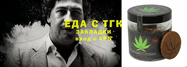 гашик Гусев