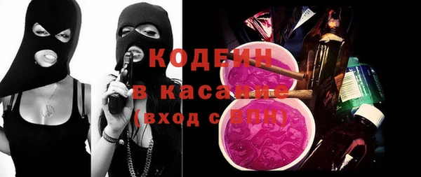 гашик Гусев