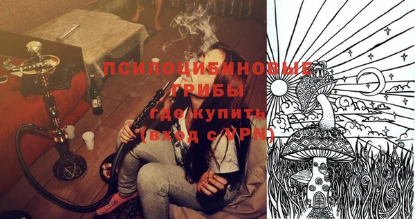 гашик Гусев